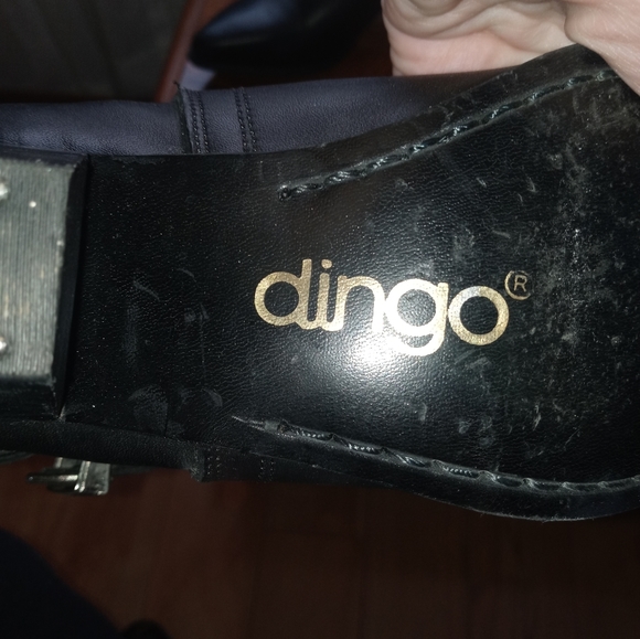 Dingo heel boots - Picture 5 of 5
